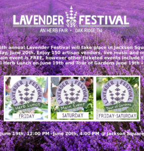 Lavender Festival this weekend!